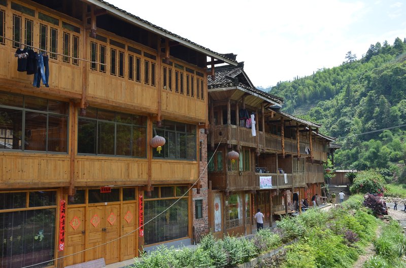 浮罗山背稻田风光